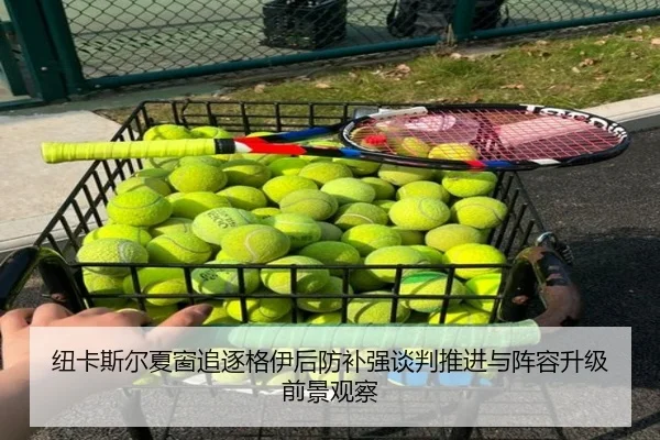 纽卡斯尔夏窗追逐格伊后防补强谈判推进与阵容升级前景观察 | kaiyun