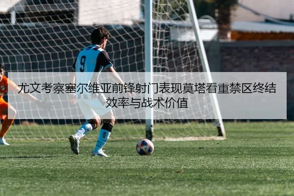 尤文考察塞尔维亚前锋射门表现莫塔看重禁区终结效率与战术价值 - kaiyun